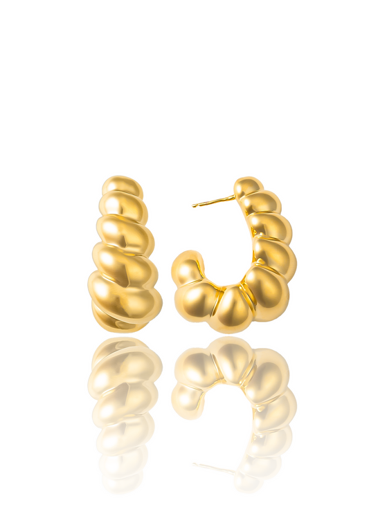 High End Exclusive Roundish Shell Twist Hoops Earrings